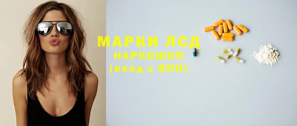 spice Алзамай